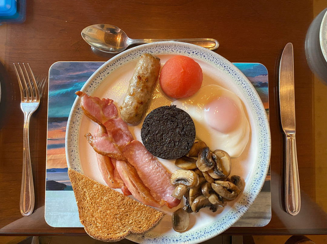 Tir Alainn主图