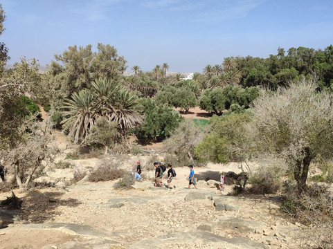 Berberlands - Day Tours-索维拉必去景点