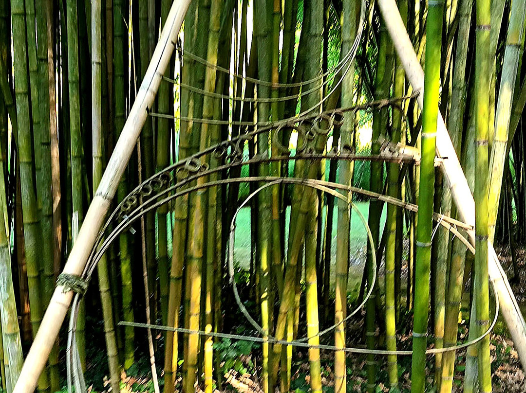 Le Parc aux Bambous-Lapenne必去景点
