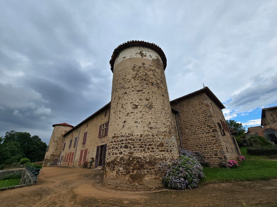 Château de Saconay景点图片
