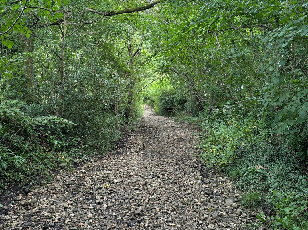 Kingcombe Visitor Centre景点图片