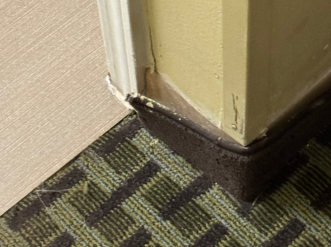 Days Inn by Wyndham Austintown主图