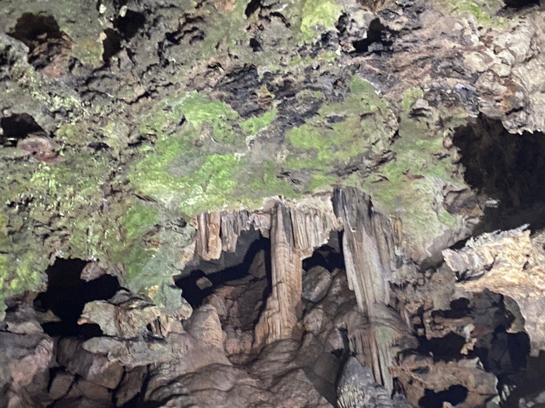 Rolater Park‎-Cave Spring必去景点