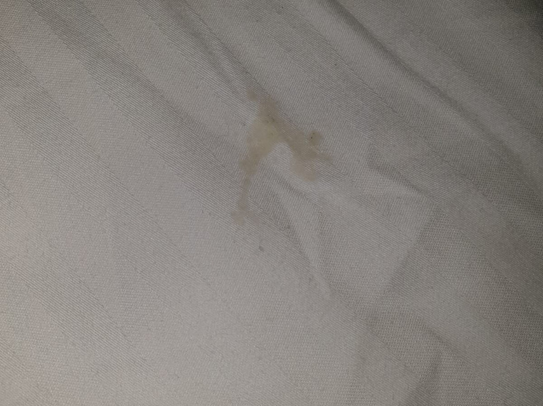 Belvedere Hotel主图