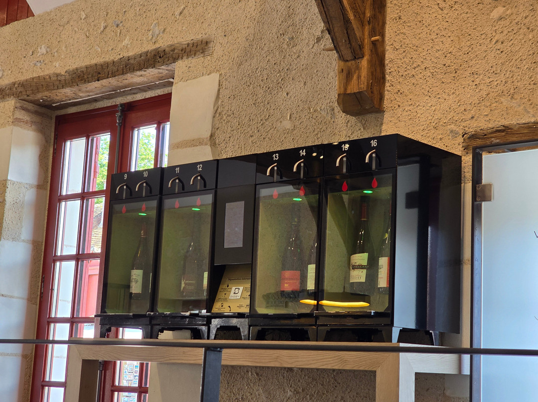 Maison des Vins Chambord景点图片