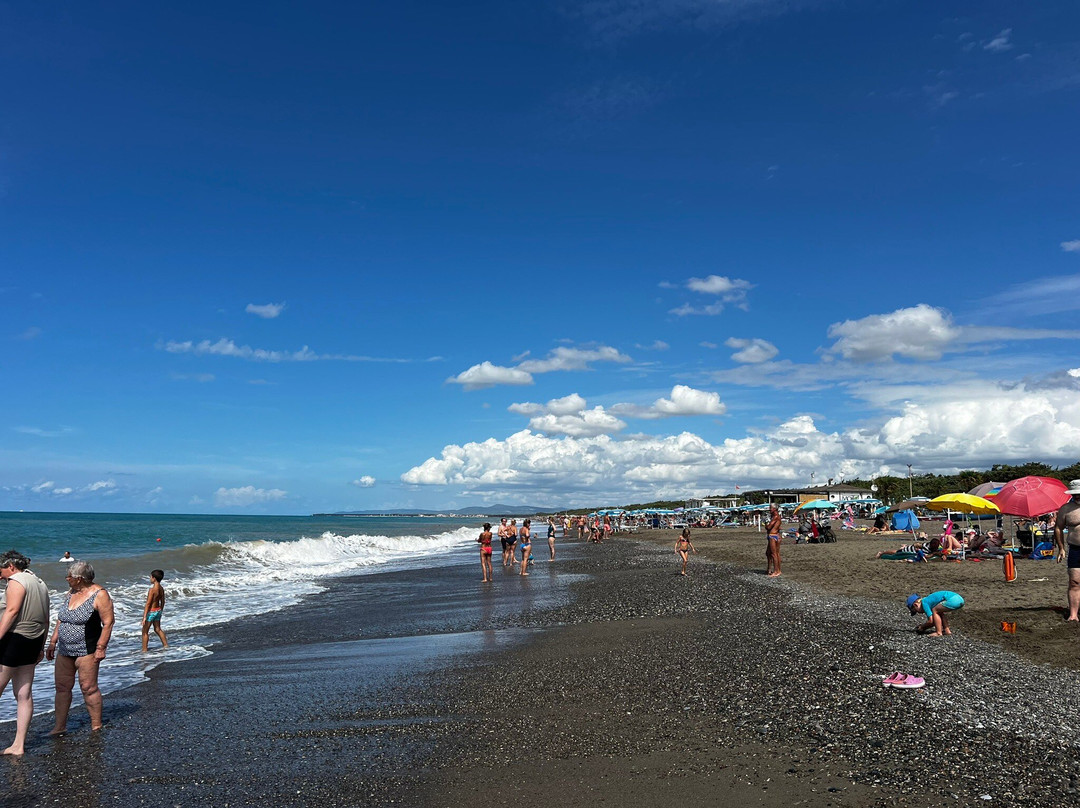 Spiaggia libera di Bibbona