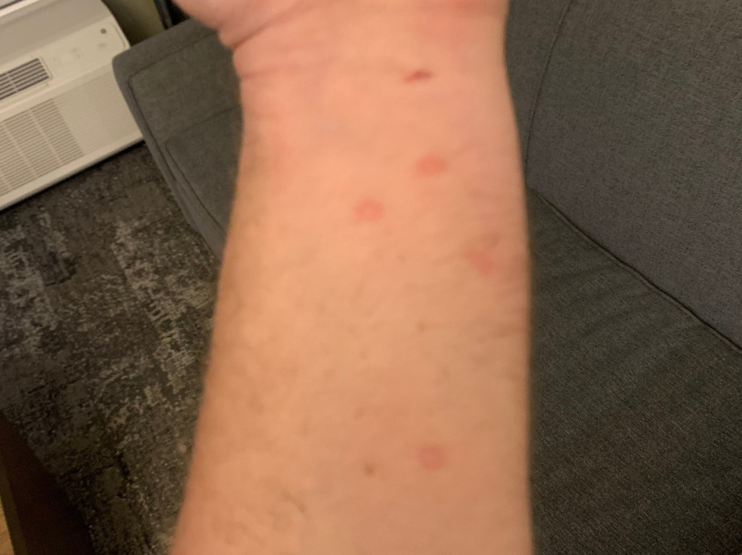 Hilton Garden Inn Summerville主图