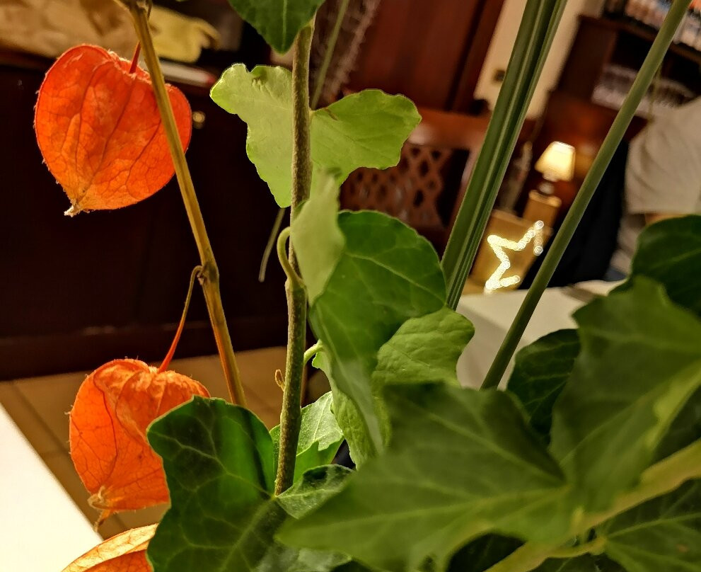 Hotel Mistrello主图