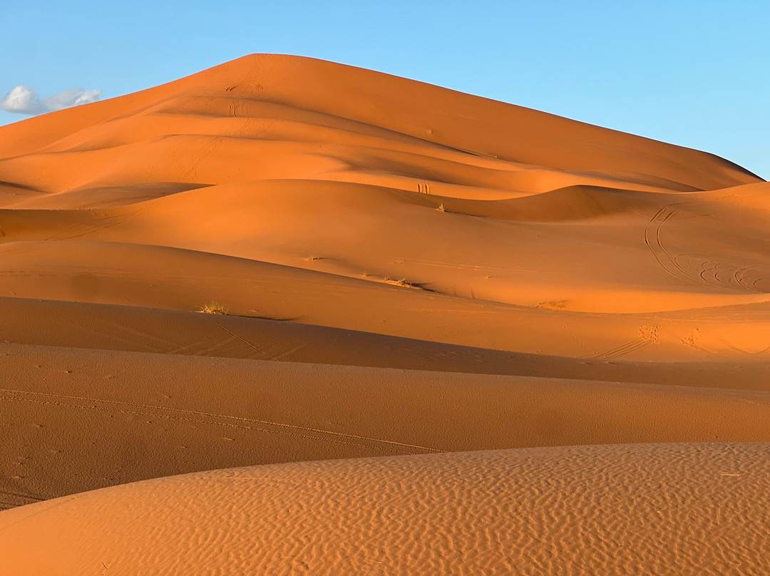 Morocco Tour Companies-非斯必去景点