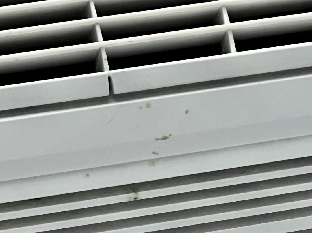 SpringHill Suites by Marriott Herndon Reston主图