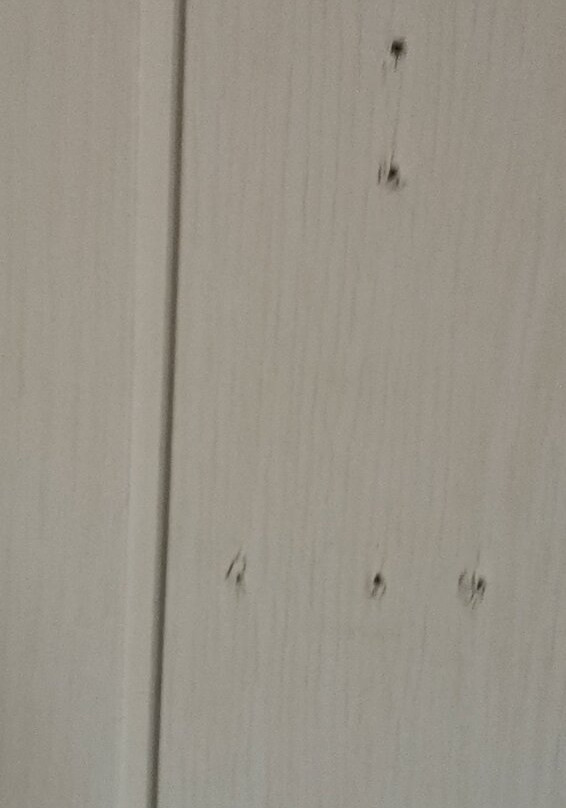 祖姆陶努斯瓦尔德酒店主图