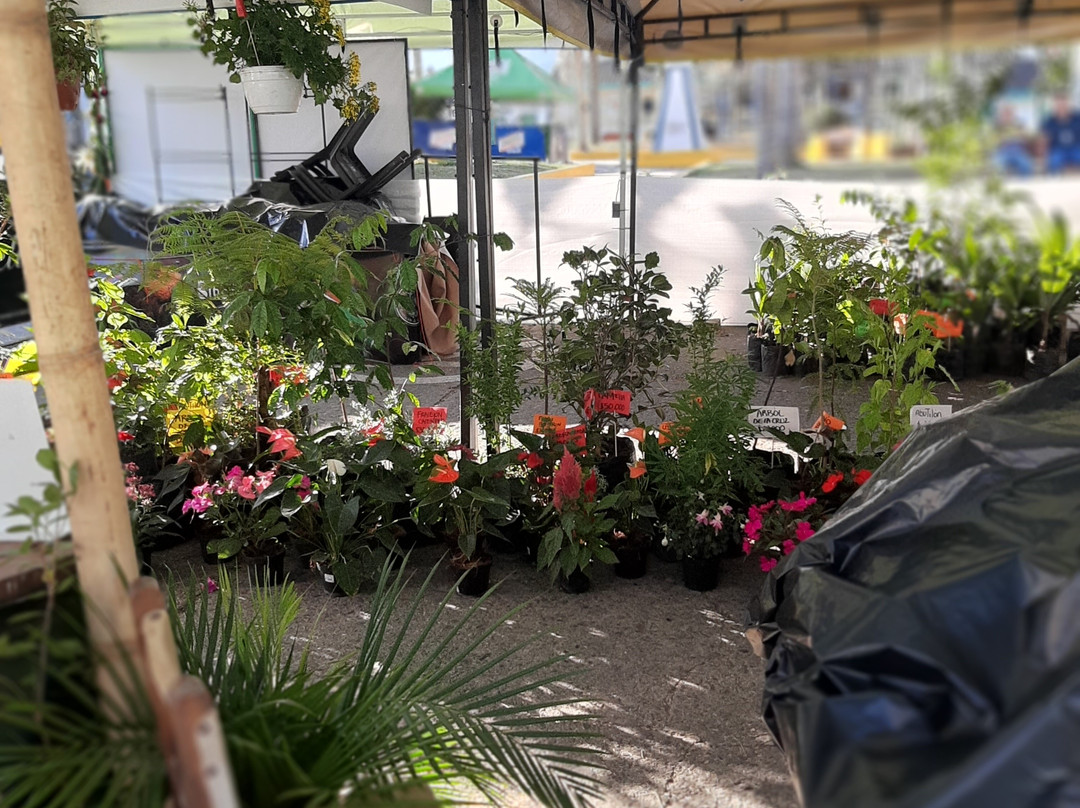 Iglesia Nuestra Señora del Carmen-萨伦托必去景点