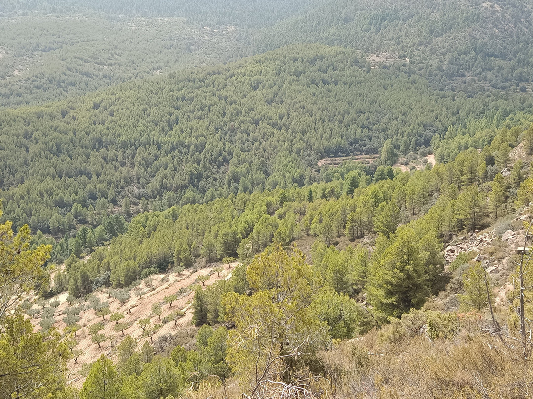 Fuente De Arriba-Moratalla必去景点