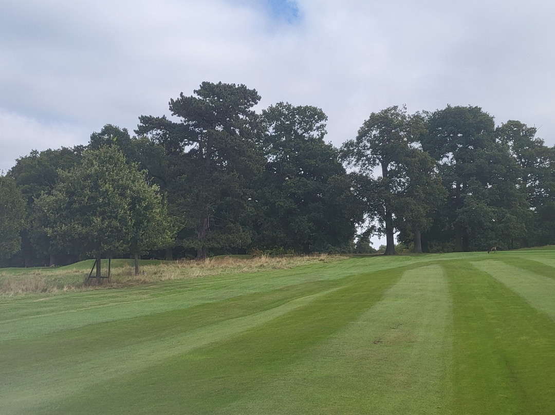 Belton Park Golf Club景点图片