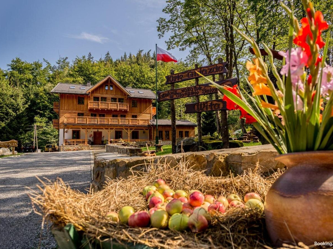 Willa Orle Gniazdo主图