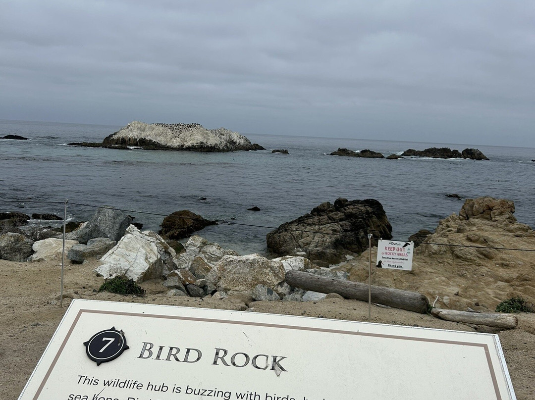 Bird Rock Vista Point-圆石滩必去景点