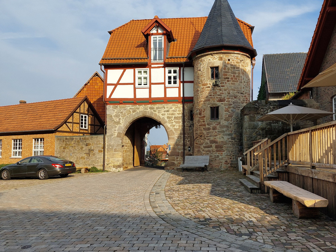 Hotel Brunnenhaus Schloss Landau主图