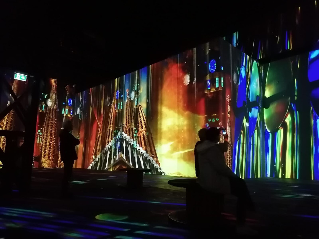 Phoenix des Lumieres景点图片