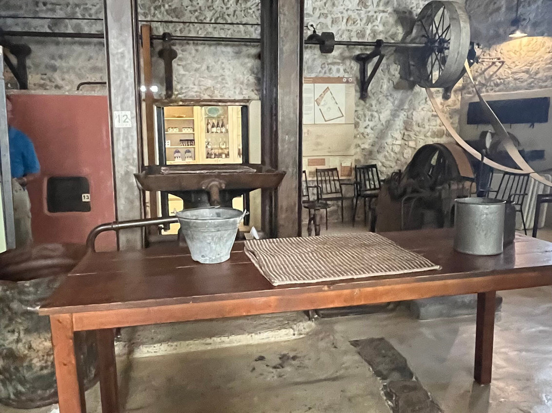 Paragaea - Old Olive Oil Factory景点图片