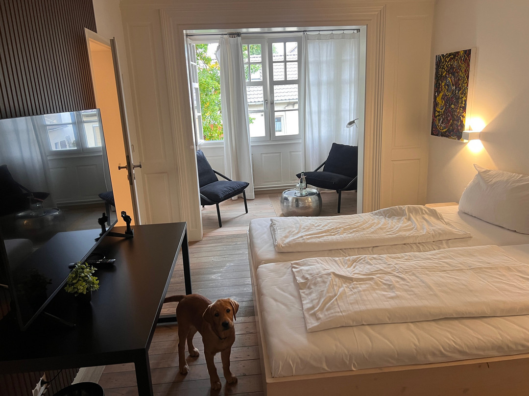 LoewenThor Hotel Hahn主图