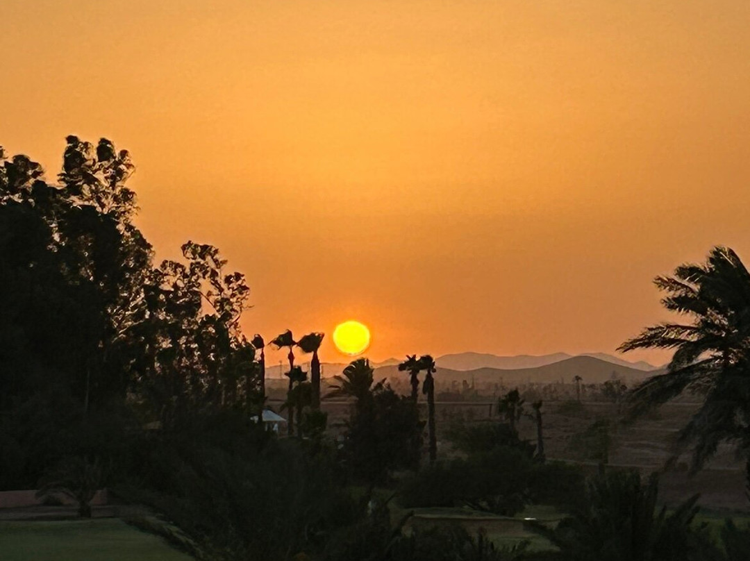 杜高尔夫酒店主图