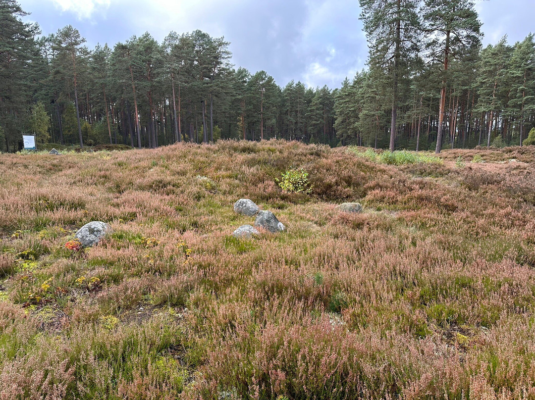 Stone Circles in Odry-Czersk必去景点