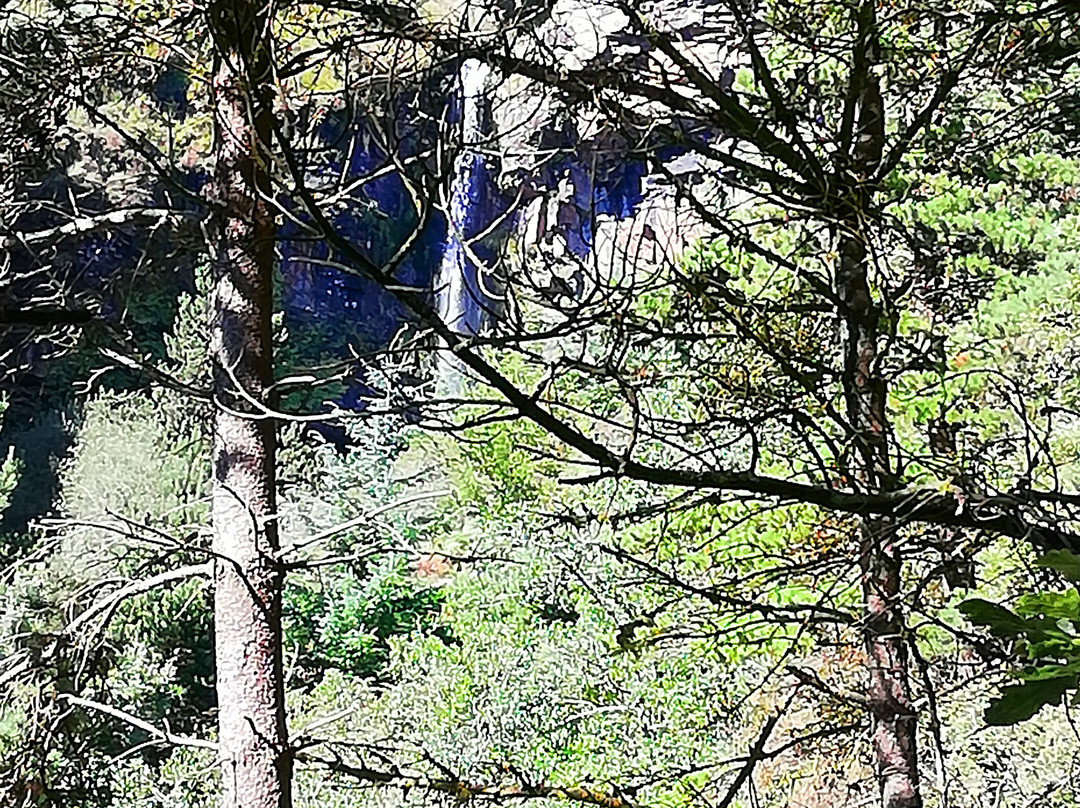 Pen pych forest car park景点图片