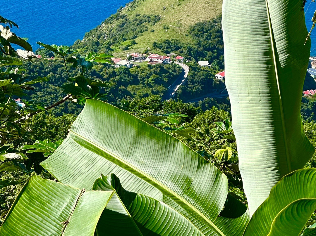 Mount Scenery-Windwardside必去景点
