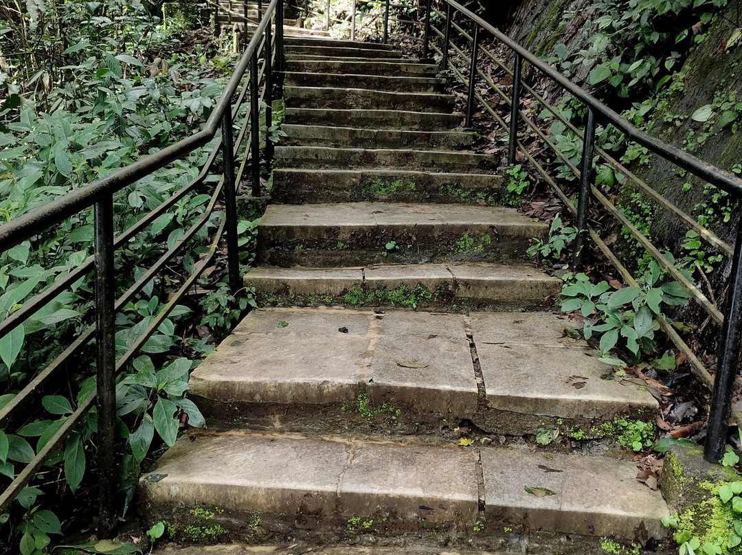 Sirimane Falls景点图片