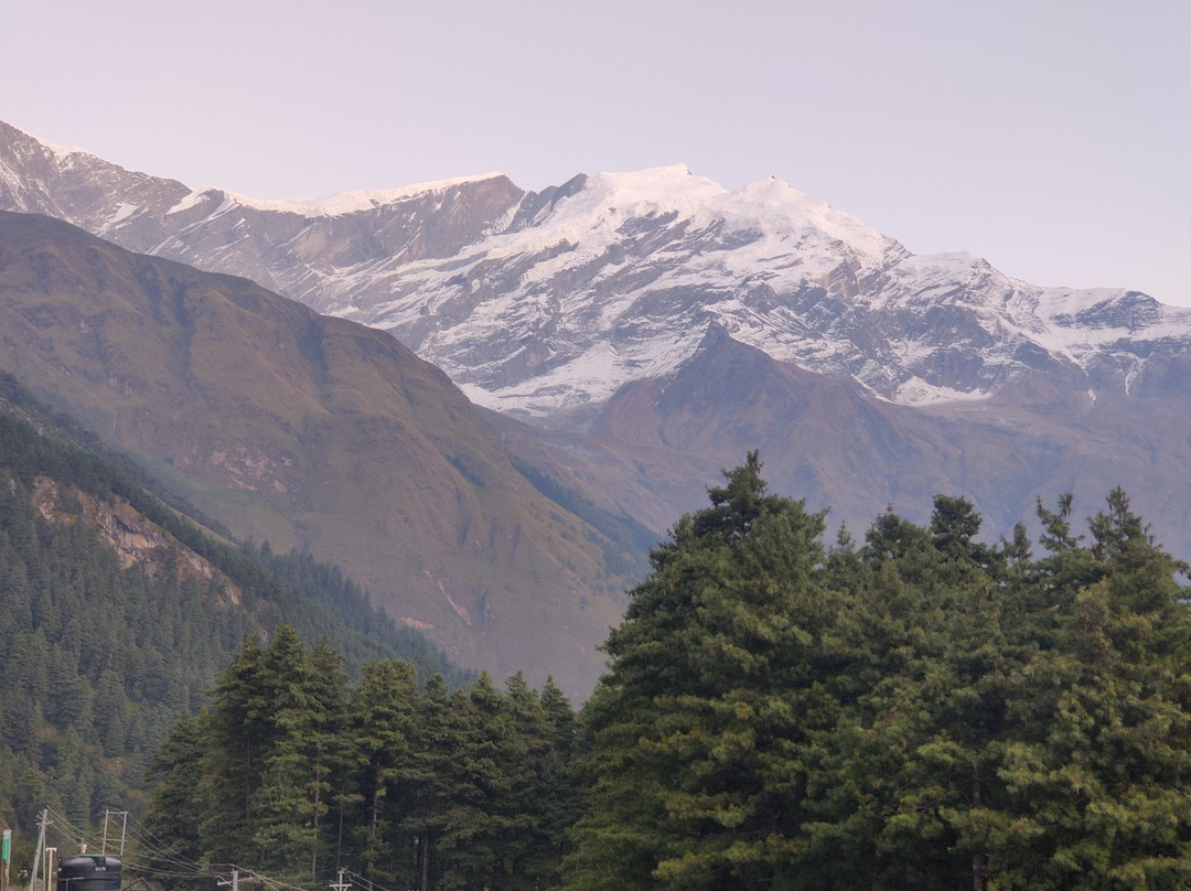 Kalopani Guest House主图