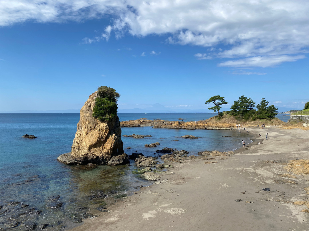 Tateishi Park景点图片