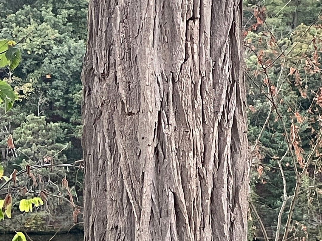 Scenic River Walk-威斯康星峡谷必去景点