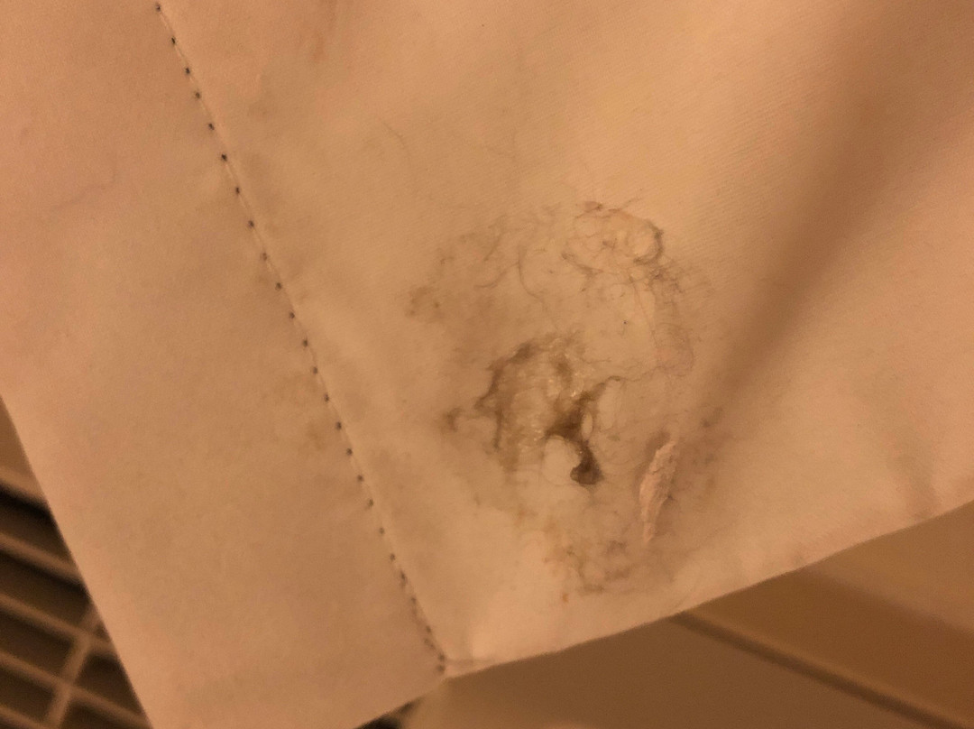 Candlewood Suites Bluffton-hilton Head By IHG主图