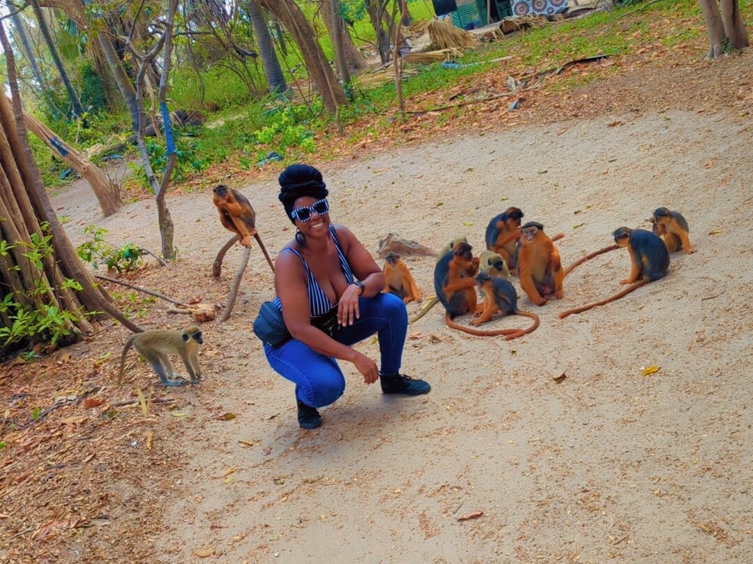 Monkey Park Senegambia景点图片