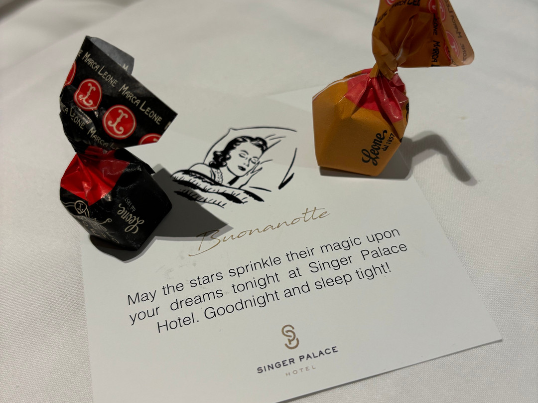 Singer Palace Hotel Roma主图