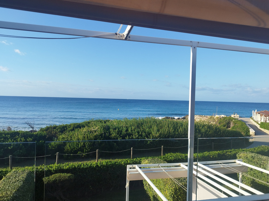 Seth Santo Tomás主图