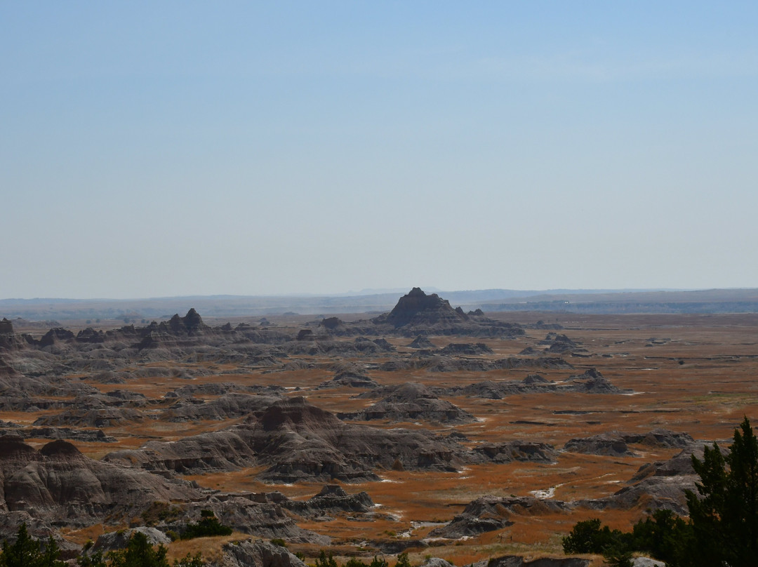 Cliff Shelf Nature Trail景点图片