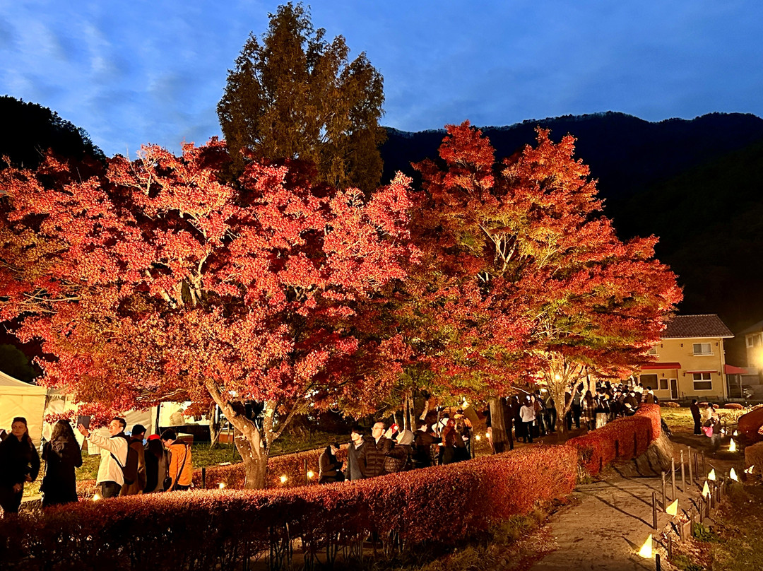 Maple Corridor-富士河口湖町必去景点