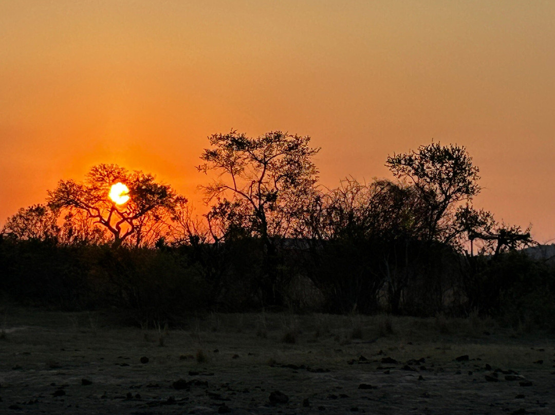 Wolhuter Wilderness Trail-克鲁格国家公园必去景点