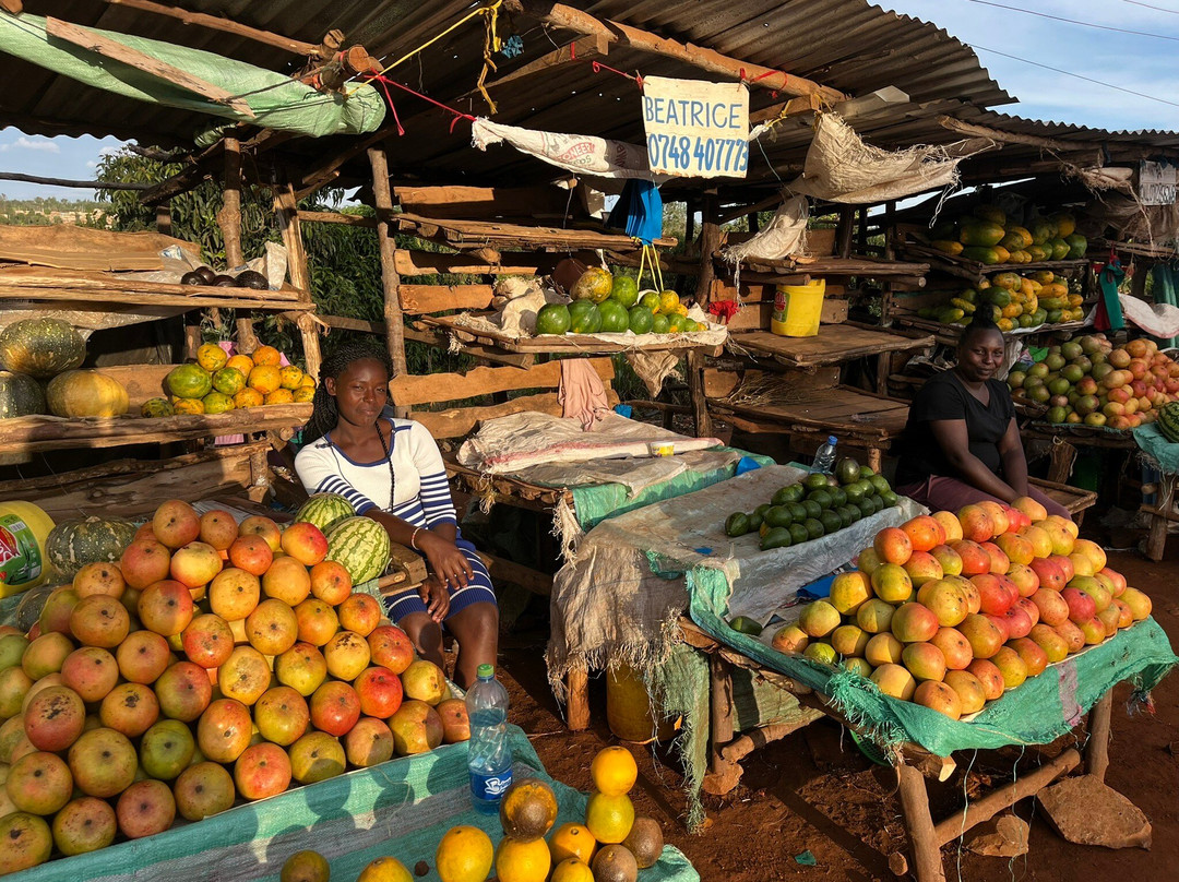 The Safari Company Ltd-Karen必去景点