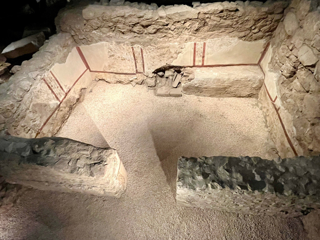 Museu de Badalona景点图片