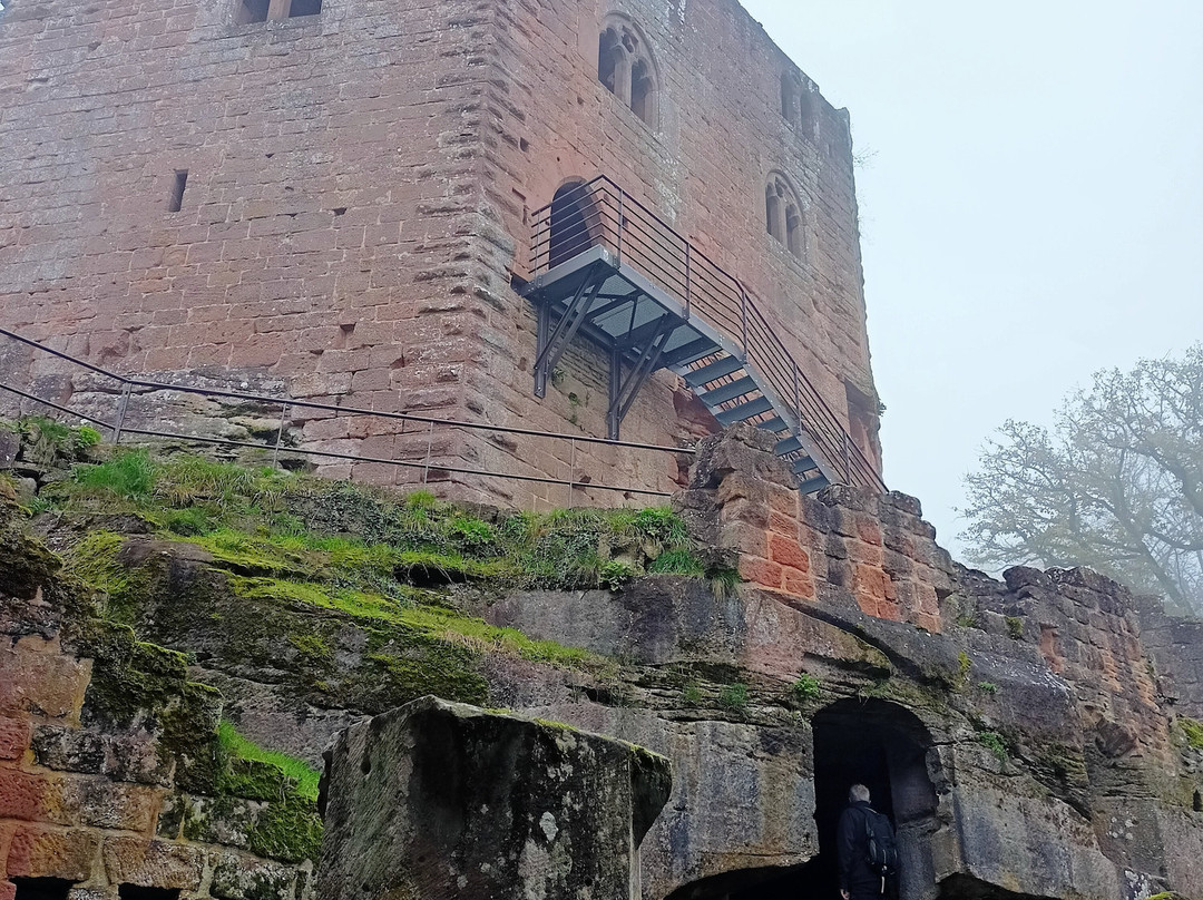 Château du Nouveau-Windstein景点图片