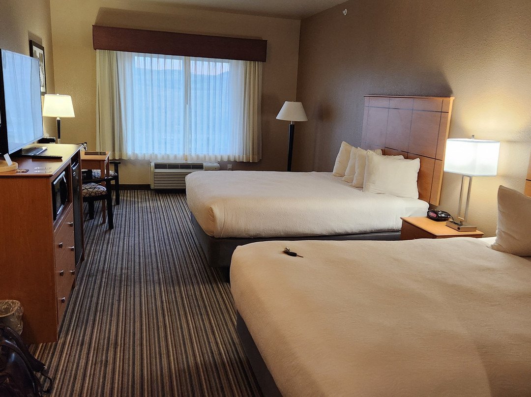 Best Western Shelby Inn & Suites主图