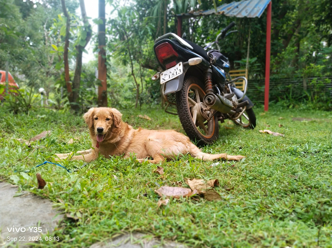 Dandeli Vintage Villa