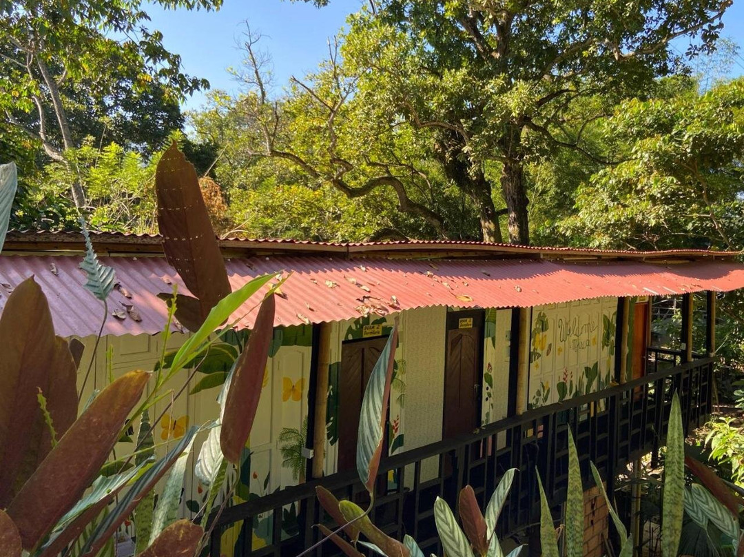 Hostal Las Mariposas Minca