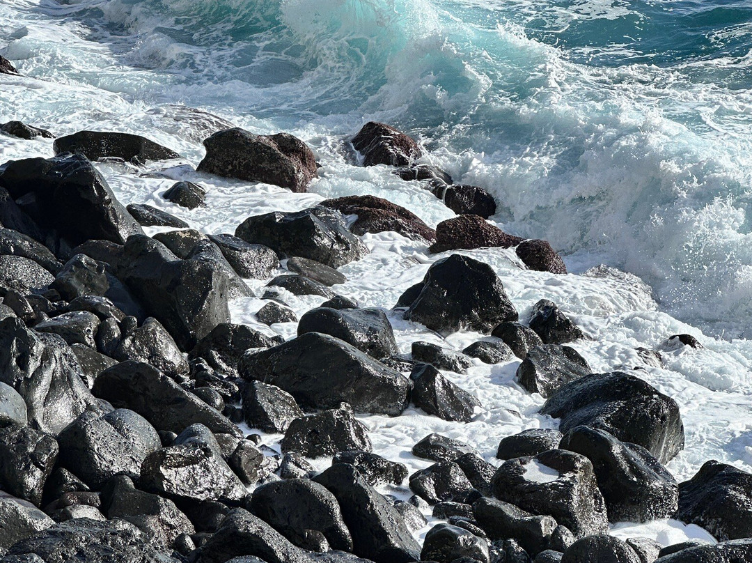 Rocha da Relva-Relva必去景点