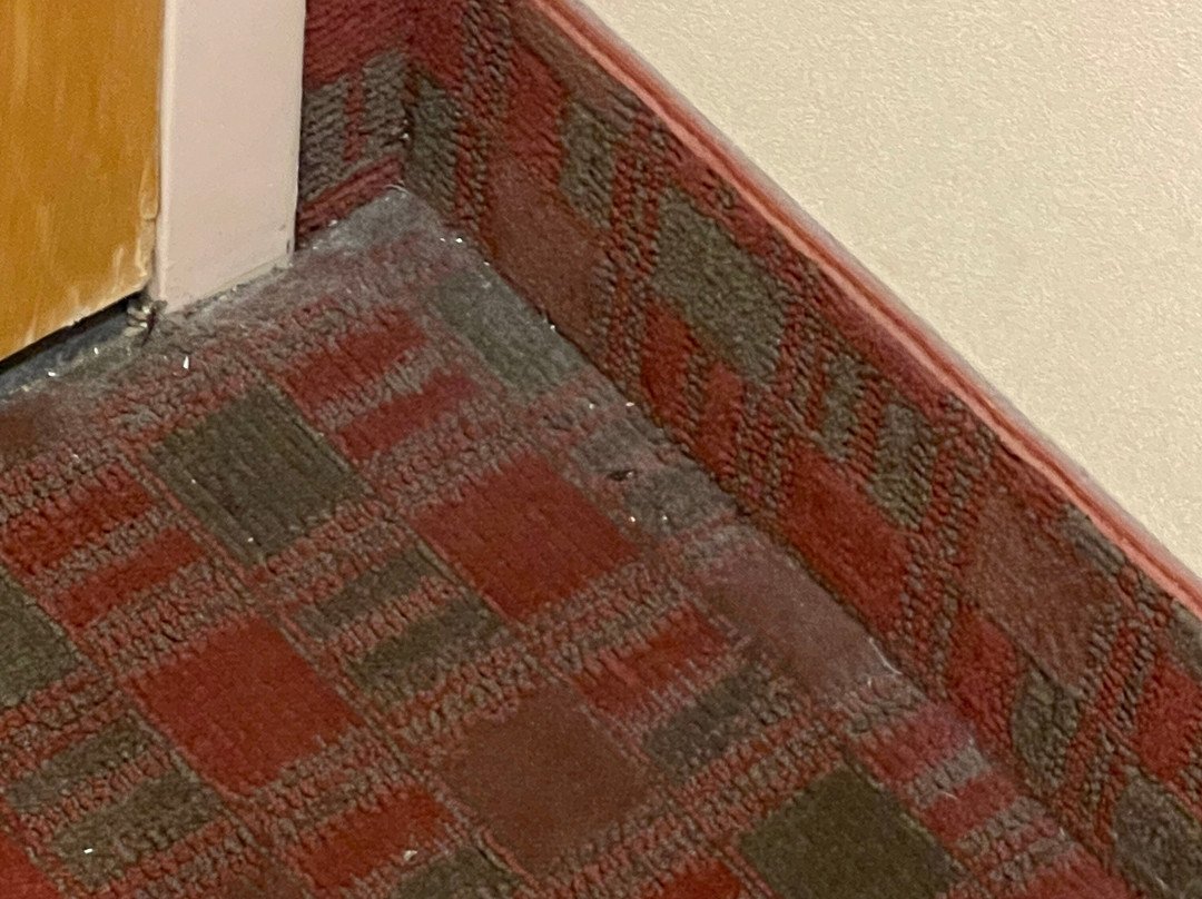 圣乔治华美达旅馆主图