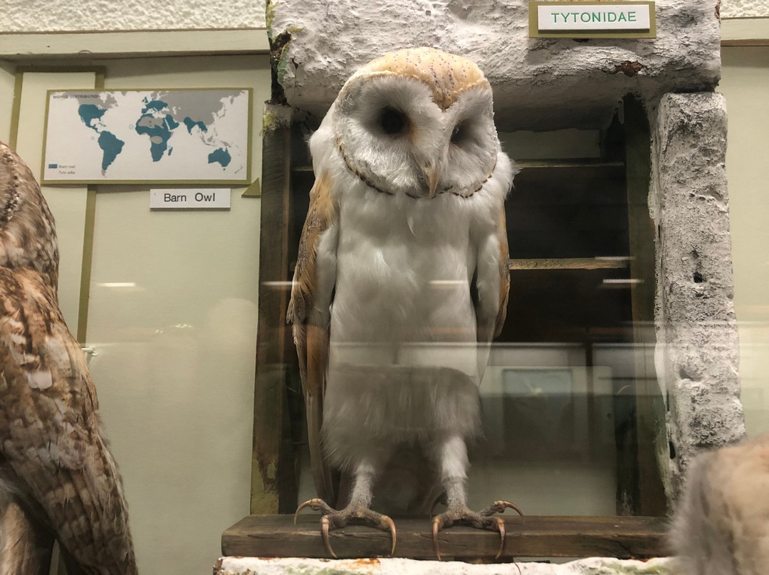 University of Aberdeen Zoology Museum-阿伯丁必去景点