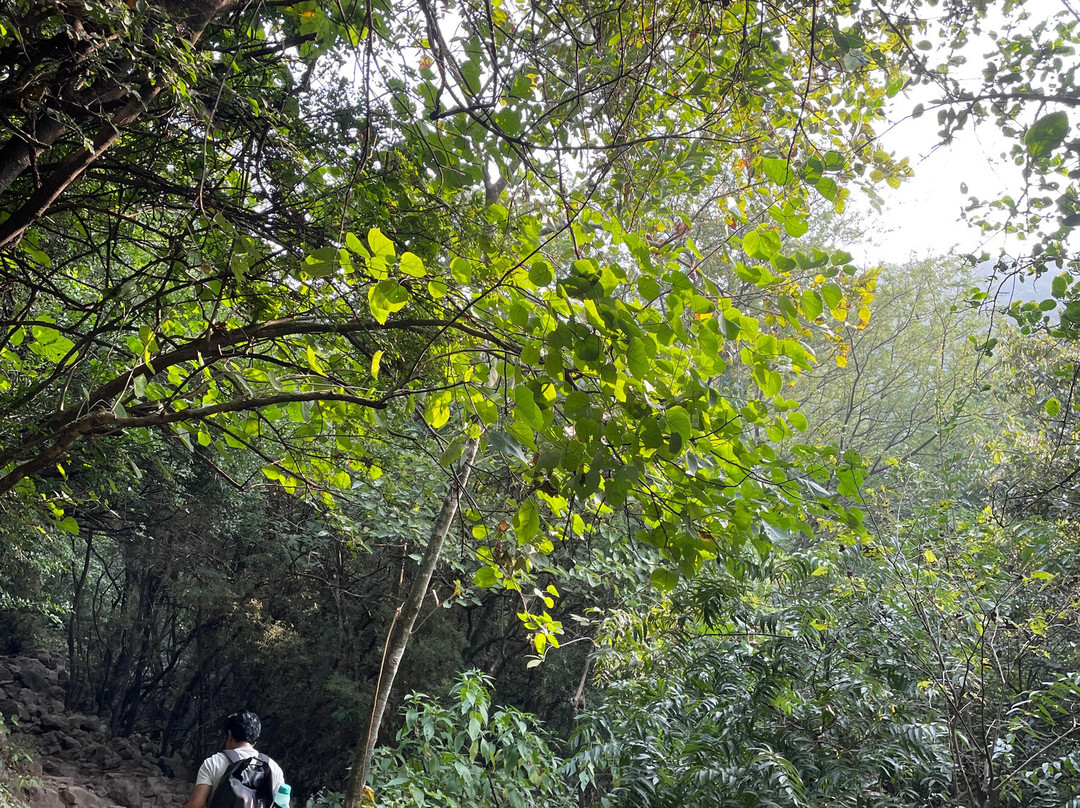 Trail 5-伊斯兰堡必去景点