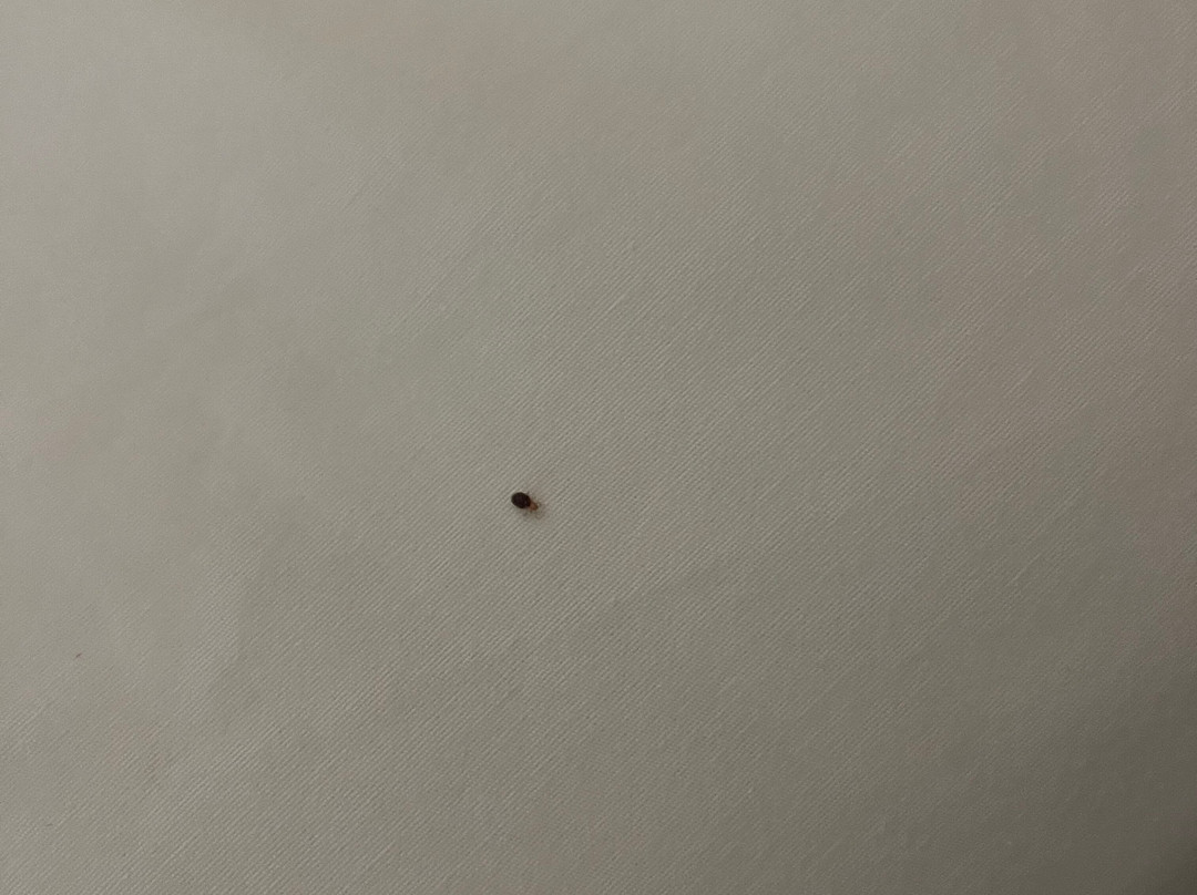 纳奈莫旅游宾馆主图